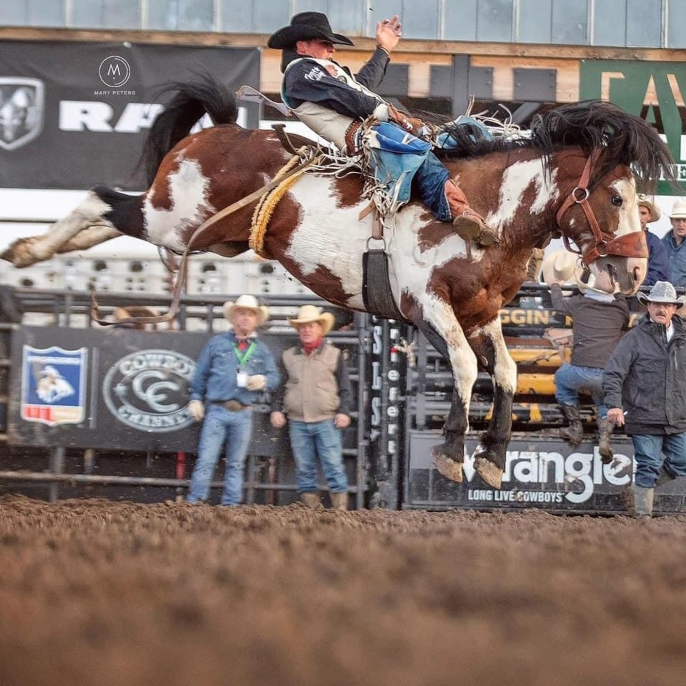 Meet your Posher, James